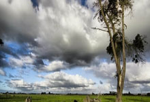 开云体育官网-马德里竞技豪取胜利，盼迎接下一战的挑战的简单介绍