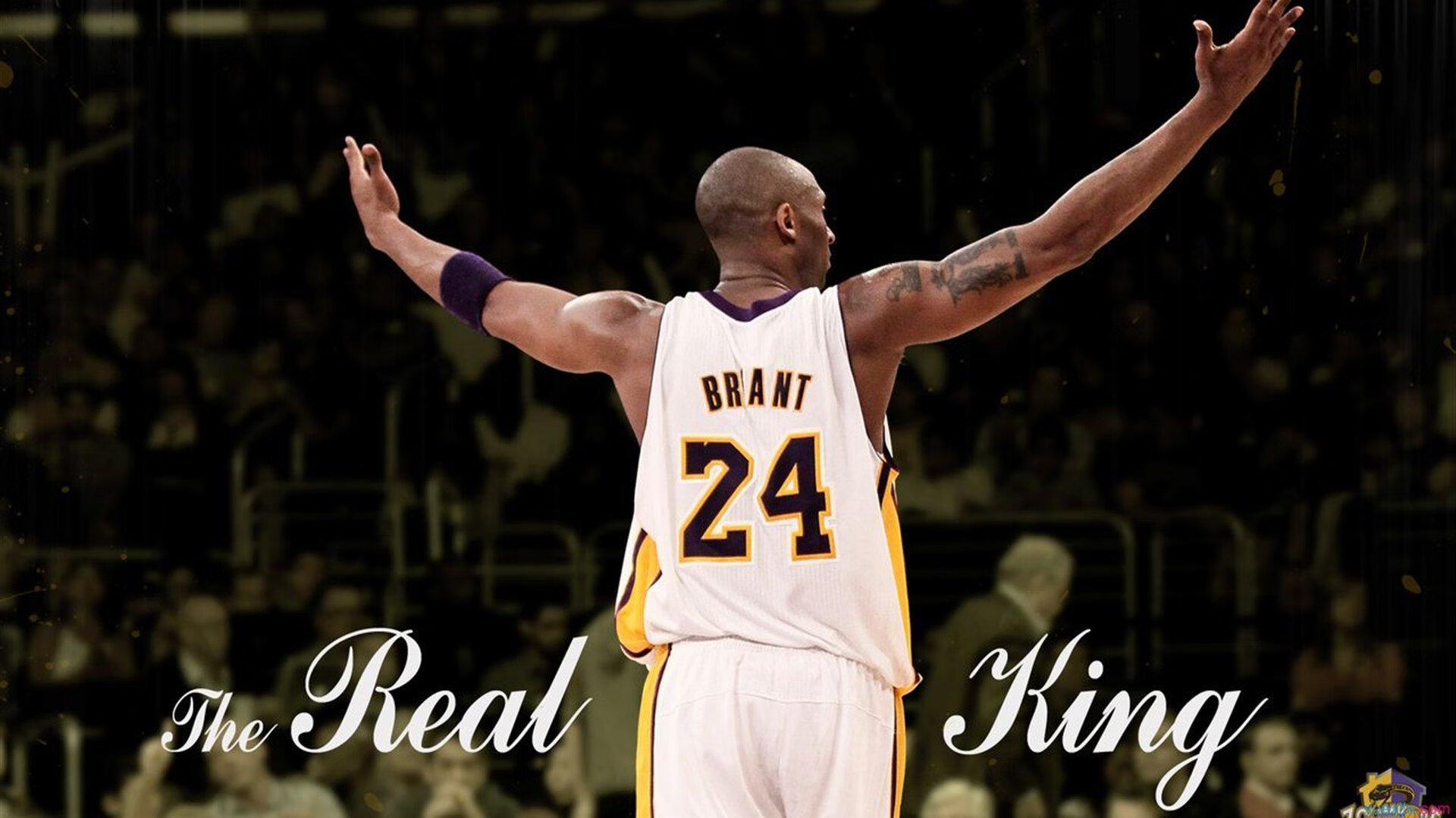 开云平台-独行者，欧文成为全场焦点，老鹰却横扫骑士