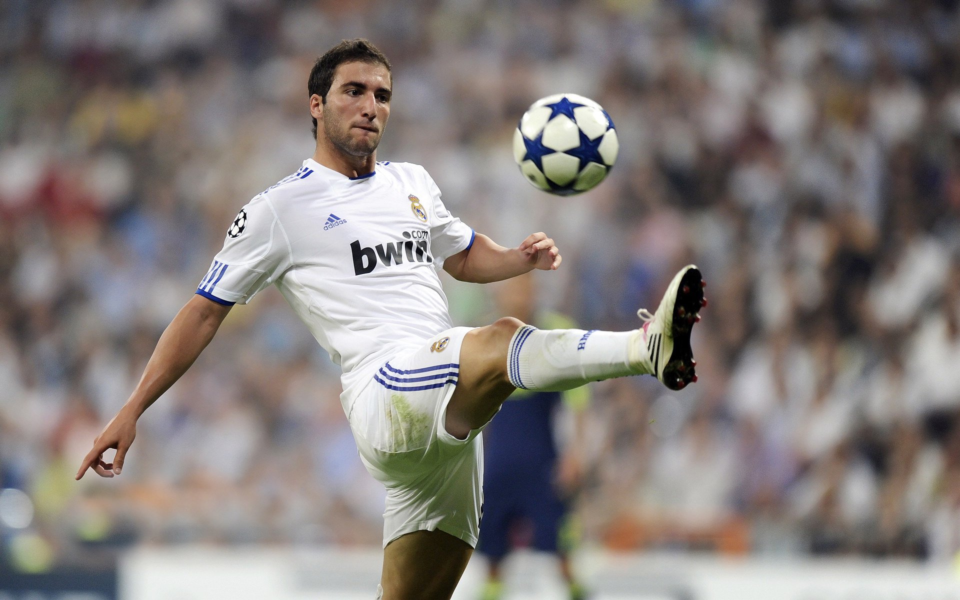 开云体育下载-冰与火之歌,德国战车碾过印度,安赛龙烈焰燃爆赛场